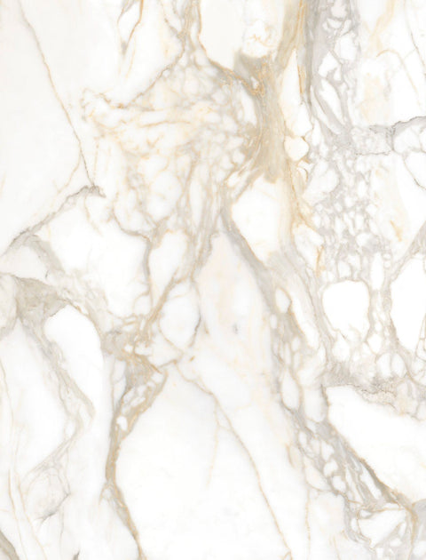 Trending Tiles